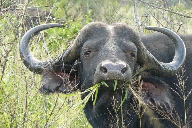 3 Days Durban Safari Tour Package - Accommodation and Meals