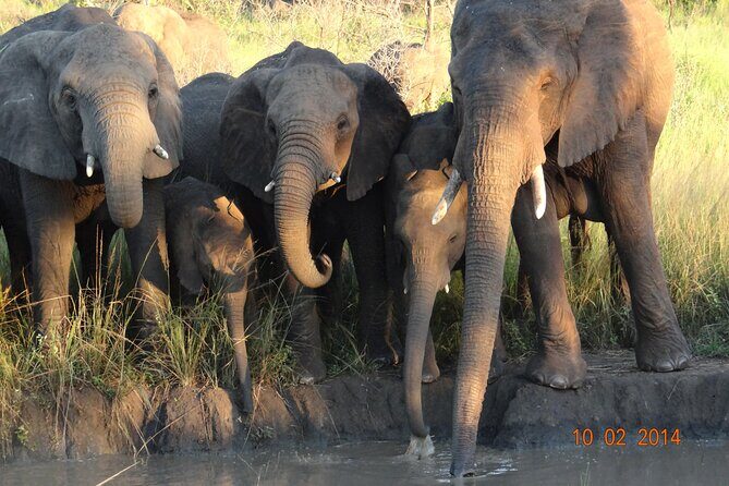 3 Days Durban Safari Tour Package - Is This Tour Worth the Price?