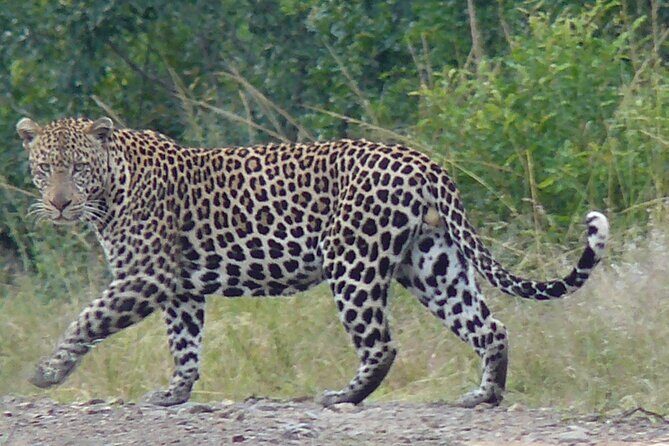 3 Days Durban Safari Tour Package - Frequently Asked Questions