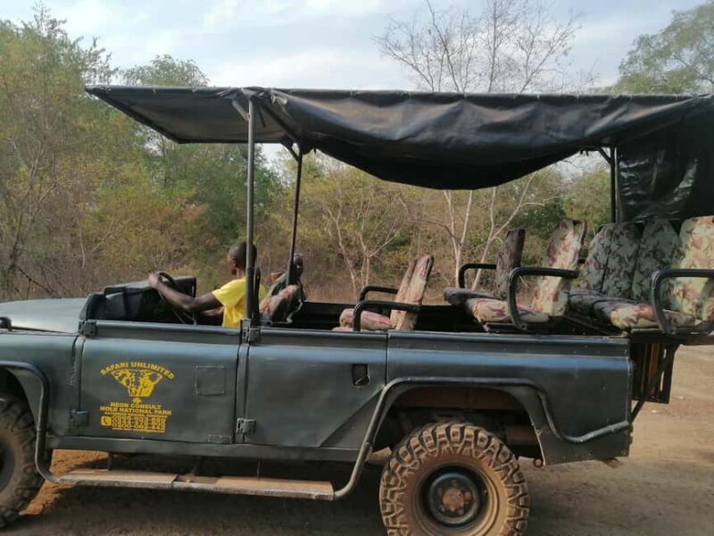 3 Days Elephant Safari at Mole Park with round trip flights - Final Thoughts