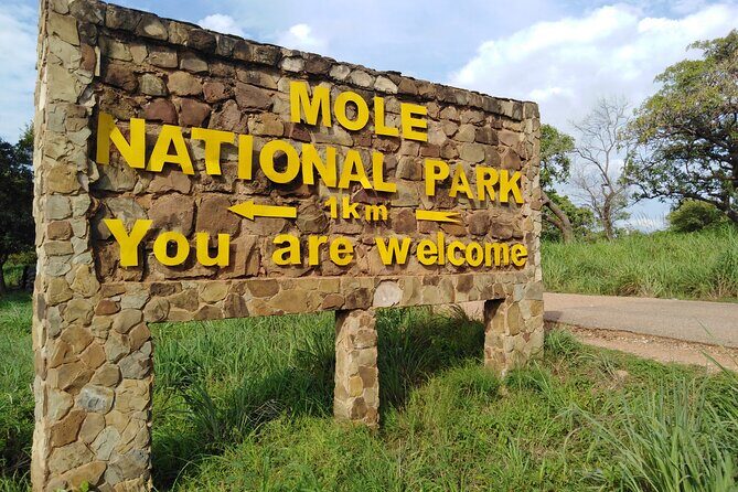 3 Days Elephants Safari at Mole Park with Round - trip flights - Who Should Consider This Tour?