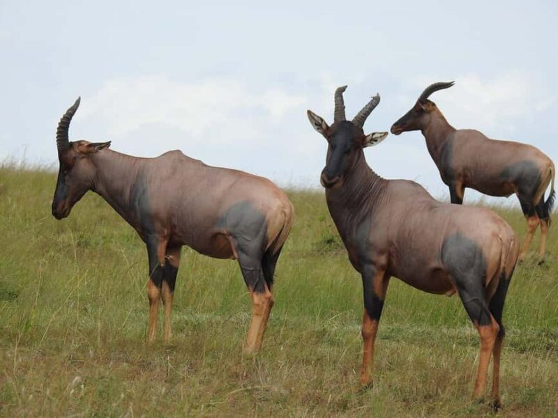 3-Days Exclusive Luxury Private tour (All Inclusive) - What Makes This Tour Stand Out?