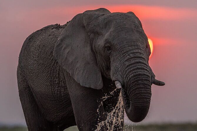 3 Days Explore Zambia Zimbabwe and Chobe Park in Botswana - FAQ
