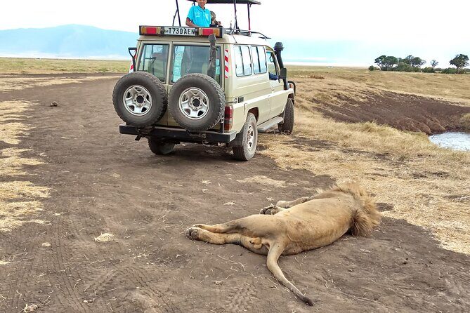 3 Days Exploring Serengeti & Ngorongoro Crater from Arusha - Practical Considerations
