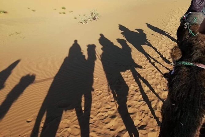 3 Days Fez to Marrakech via Sahara - Key Points