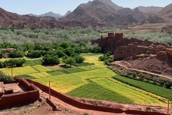 3 Days Fez to Marrakech via Sahara - Final Thoughts