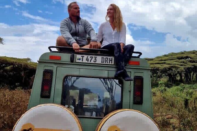 3 Days Fly in & Out Serengeti Park - Day 3: Early Morning Game Drive and Departure