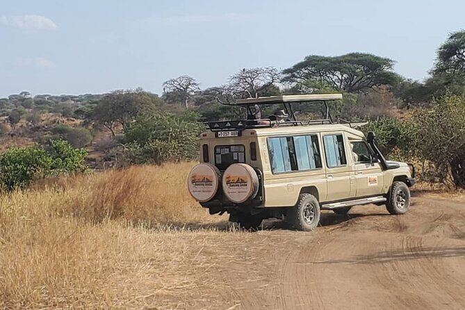 3 Days Fly in & Out Serengeti Park - Authentic Experiences and Notable Highlights from Reviews