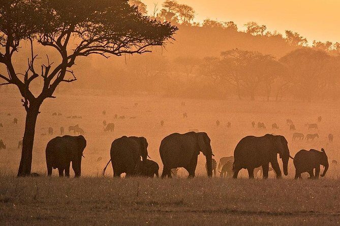 3 days fly in safari - Pricing and Value