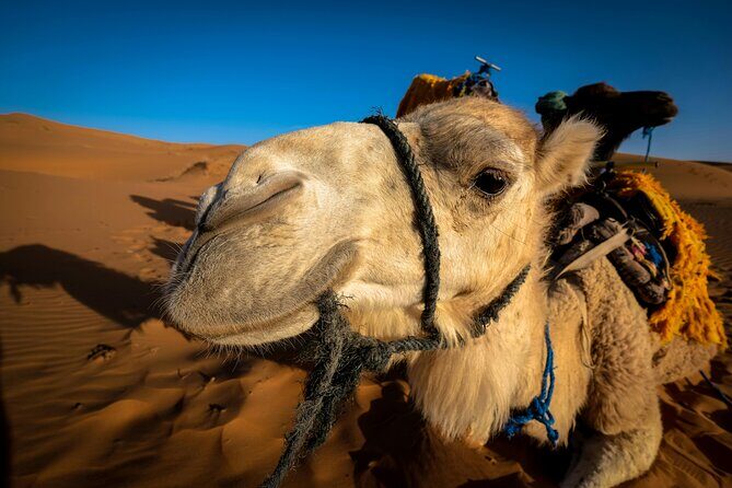 3 days from Marrakech to the Dunes of Merzouga - Key Points
