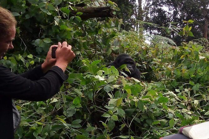 3 Days Gorilla Adventure Safari in Uganda - Practical Details & Tips