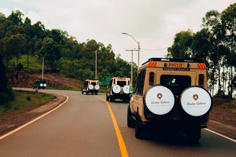 3 Days Gorilla & Golden Monkey Trekking - Inside the Experience: What We Love and What to Consider