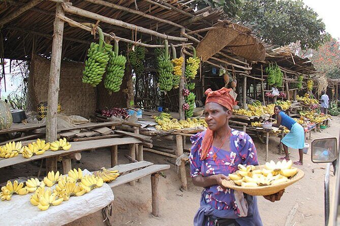 3 days Gorilla tracking Bwindi and Lake Bunyonyi Relaxation - Who Is This Tour Best For?
