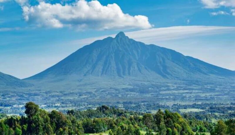3 Days Gorilla trekking in the volcanoes national park - An In-Depth Look at the 3-Day Gorilla Trekking Tour