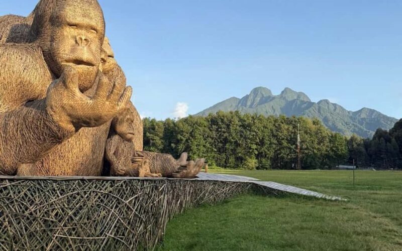 3 Days Gorilla trekking in the volcanoes national park - What’s Included and What’s Not?