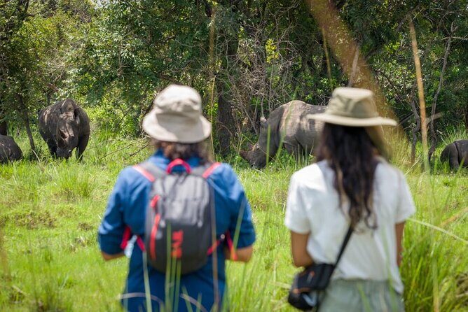 3 Days gorilla trekking Safari tour in Uganda - An In-Depth Look at the 3-Day Gorilla Trekking Tour