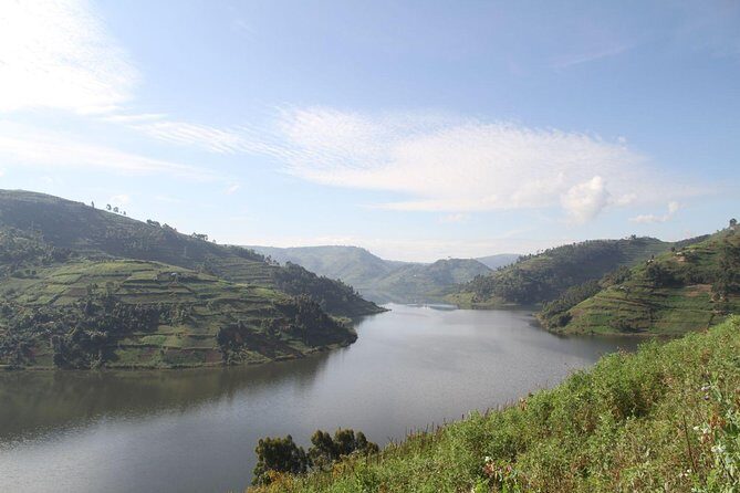 3 Days Gorilla trekking tour - An Overview of the 3-Day Gorilla Trekking Tour