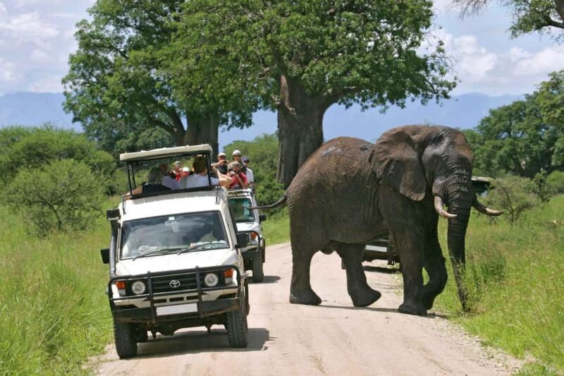 3 Days Group Joining Safari to Maasai Mara Lodge Safari - The Sum Up
