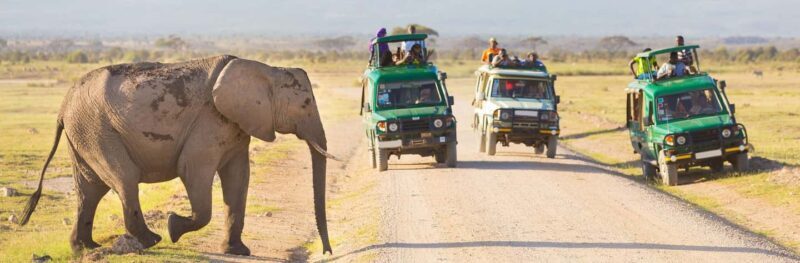 3 Days Group Joining Safari to Maasai Mara Lodge Safari - FAQ