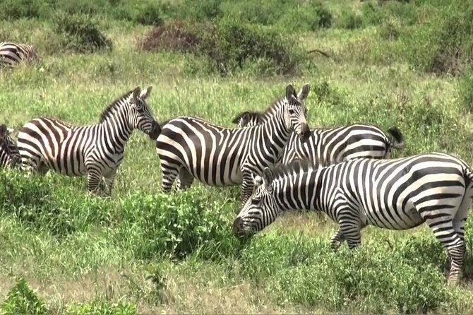 3 days group joining safari to Maasai Mara with a Land Cruiser Jeep - Who Should Consider This Safari?