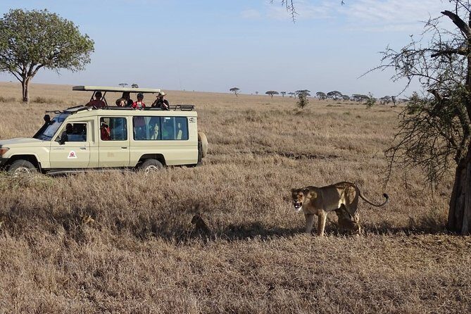 3 days group joining safari to Maasai Mara with a Land Cruiser Jeep - FAQs About This Maasai Mara Safari