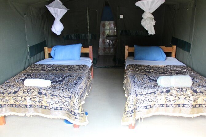 3 days group joining safari to Masai Mara with a Land CruiserJeep - Authentic Experiences and Unique Insights from Reviewers