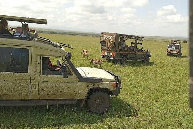 3 days group joining safari to Masai Mara with a Land CruiserJeep - FAQ