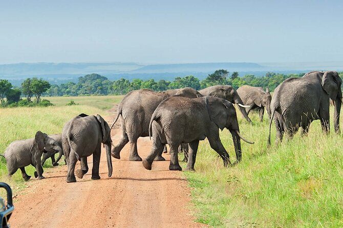 3 Days Group Joining Serengeti and Ngorongoro Safari - Transport, Accommodation, and Meals