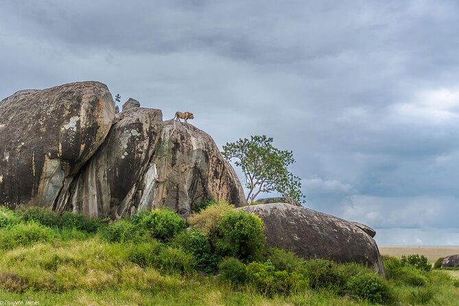 3 Days Group Joining Serengeti and Ngorongoro Safari - The Value Proposition