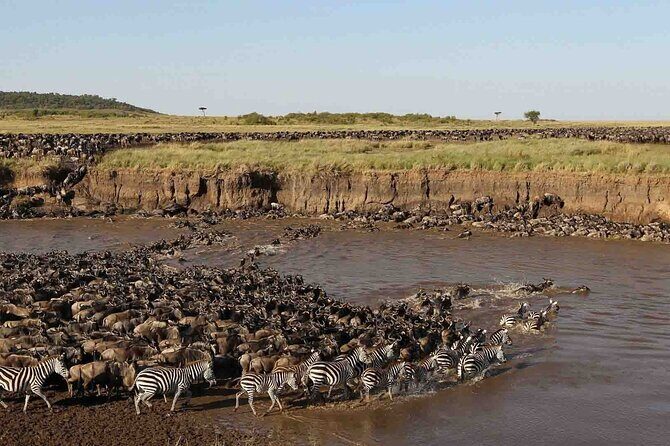 3 Days Group Joining Serengeti and Ngorongoro Safari - FAQs