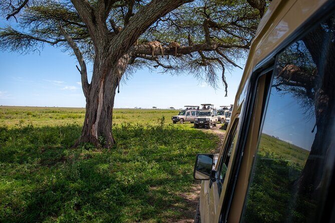 3 Days Group Safari Serengeti & Ngorongoro - Introduction