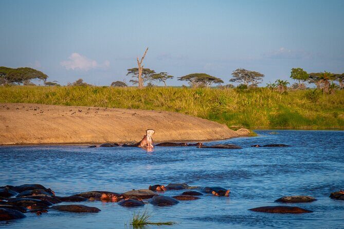 3 Days Group Safari Serengeti & Ngorongoro - Day 3: Exploring Ngorongoro Crater