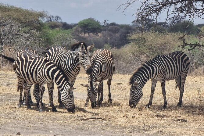 3 Days Group Safari Serengeti & Ngorongoro - Practical Details and Considerations