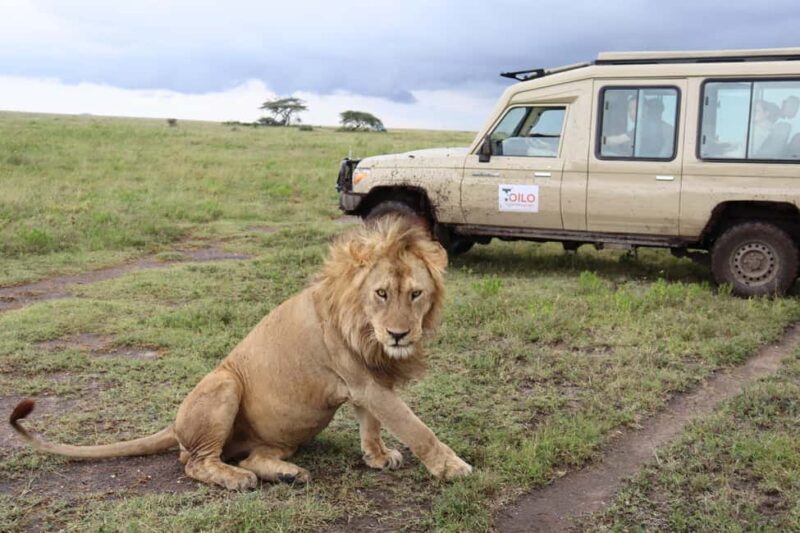 3 Days Group Tour Tarangire, Lake Manyara Ngorongoro Crater - Why Choose This Tour?