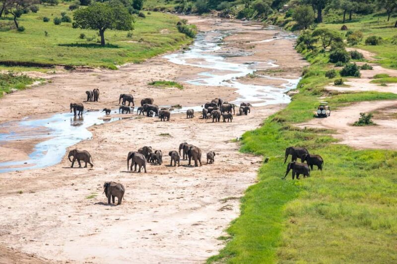 3 Days Group Tour Tarangire, Lake Manyara Ngorongoro Crater - Who Would Love This Experience?