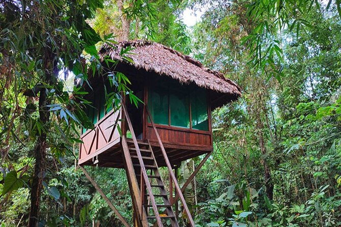 3-days-guided-manu-jungle-tour-from-cusco