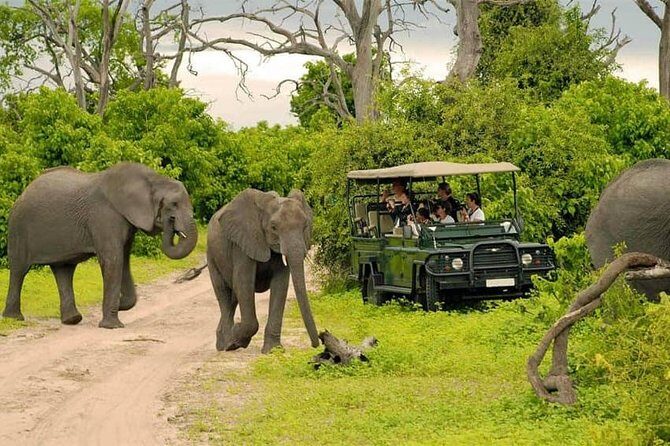 3 Days Holiday Package In Zambia - Who Is This Tour Best For?