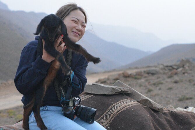 3 Days Homestay with Last Berber Nomads in The Atlas Mountains - An Honest Look at the Experience