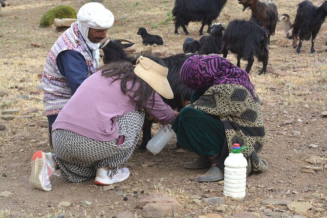 3 Days Homestay with Last Berber Nomads in The Atlas Mountains - Authentic Guides & Rich Experiences