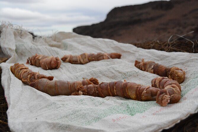 3 Days Homestay with Last Berber Nomads in The Atlas Mountains - Final Thoughts