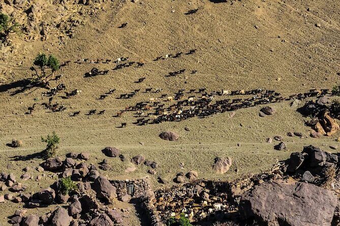 3 Days in Atlas Mountains & waterfall and Berber culture - Who Should Consider This Tour?