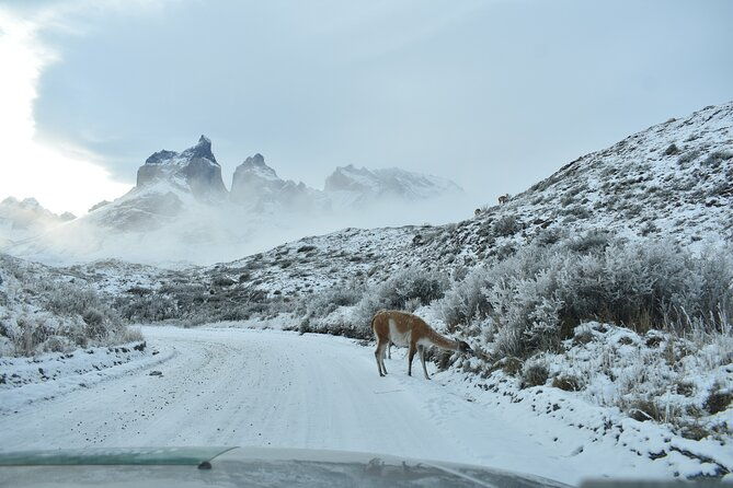 3-days-in-torres-del-paine-private-for-groups-of-4-people