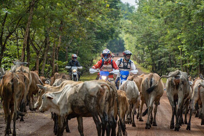 3 Days Jungle Temples Enduro Tour - Authentic Reviews and Insights