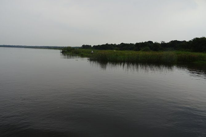 3 Days Lake Bunyonyi and Gorilla Trekking Tour in Uganda - Why This Tour Offers Real Value