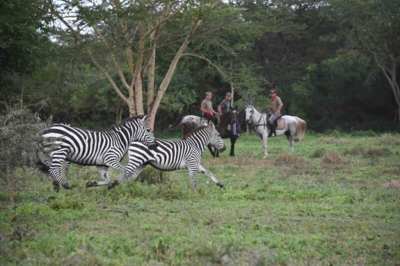 3 Days - Lake Manyara, Ngorongoro Crater and Tarangire - The Itinerary Breakdown: What You’ll Experience