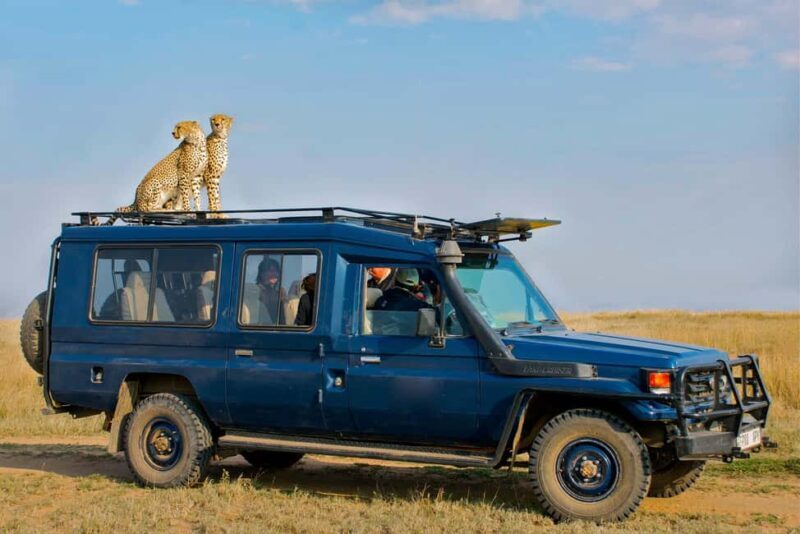 3 Days - Lake Manyara, Ngorongoro Crater and Tarangire - Overall Value and Suitability
