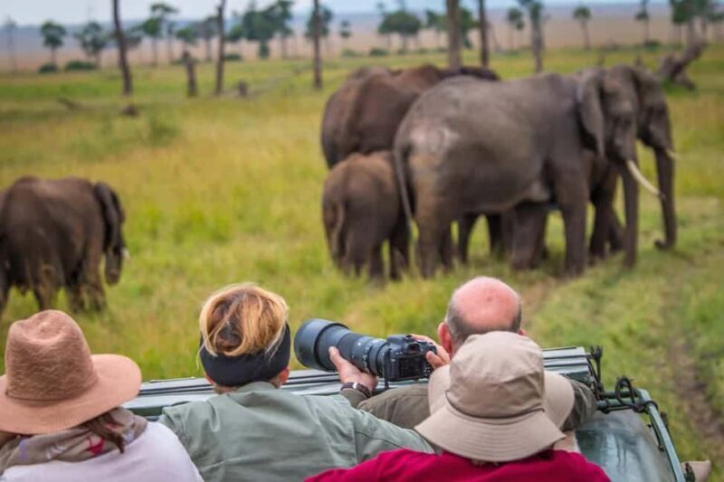 3 Days - Lake Manyara, Ngorongoro Crater and Tarangire - An In-Depth Look at the Tour Experience
