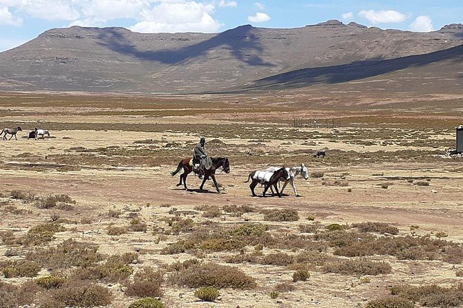 3 days Lesotho Private Tour, Sani Pass and Maletsunyana Falls - Final Thoughts: Who Will Love This Tour?
