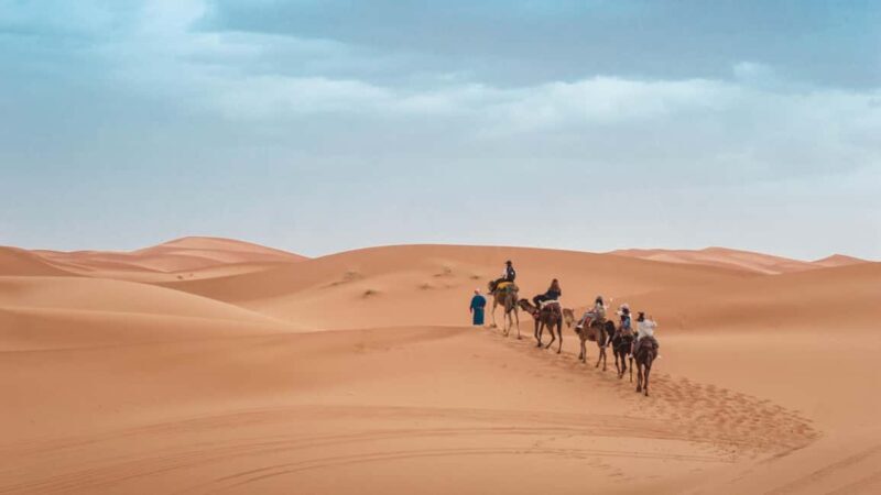 3 days luxury camp stay with sandsurf from Fes to Marrakech - What’s Included and What’s Not