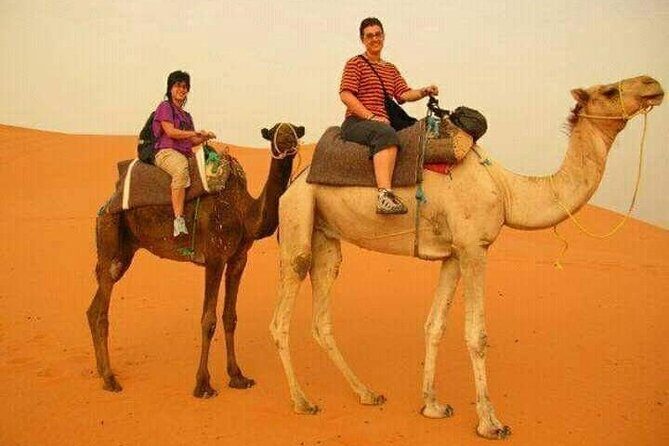3 Days Luxury Desert Tour From Fes To Marrakech via Merzouga - Frequently Asked Questions